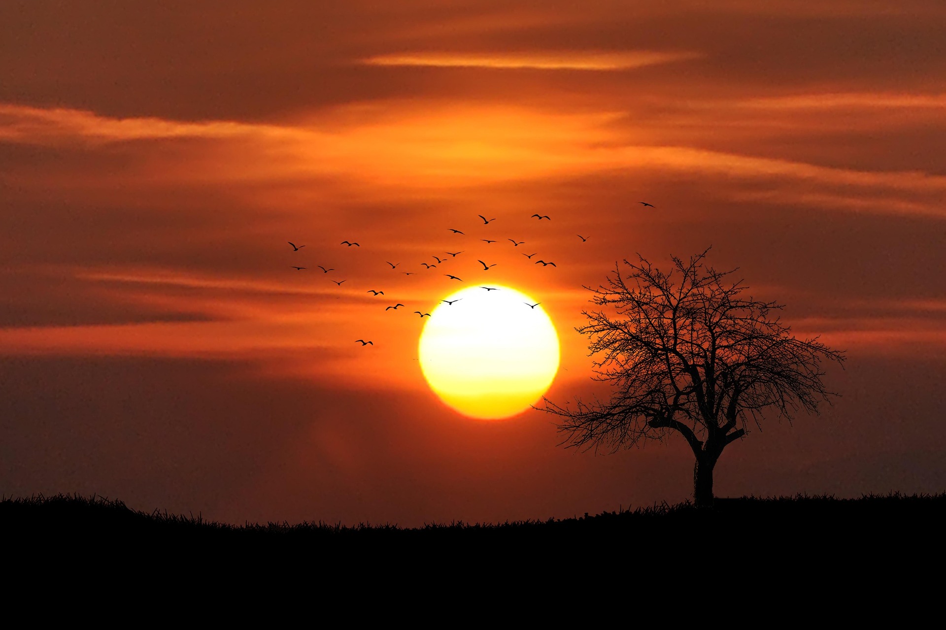 Wie groß ist die Sonne? - Astronomie.net