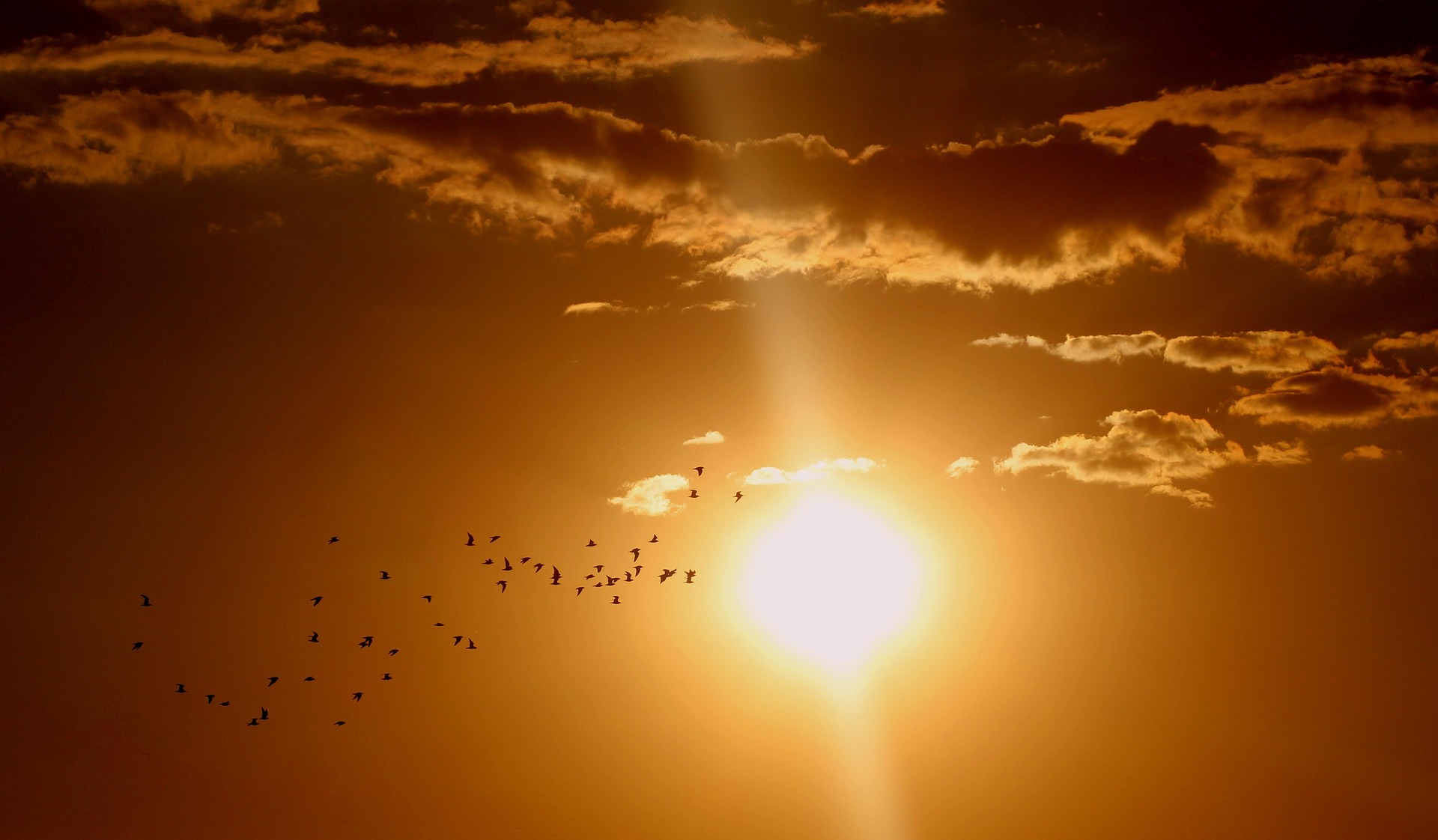Schoene Wie Lange Braucht Das Licht Von Der Sonne Zur Erde Rechnung Und Bewertungnie8498